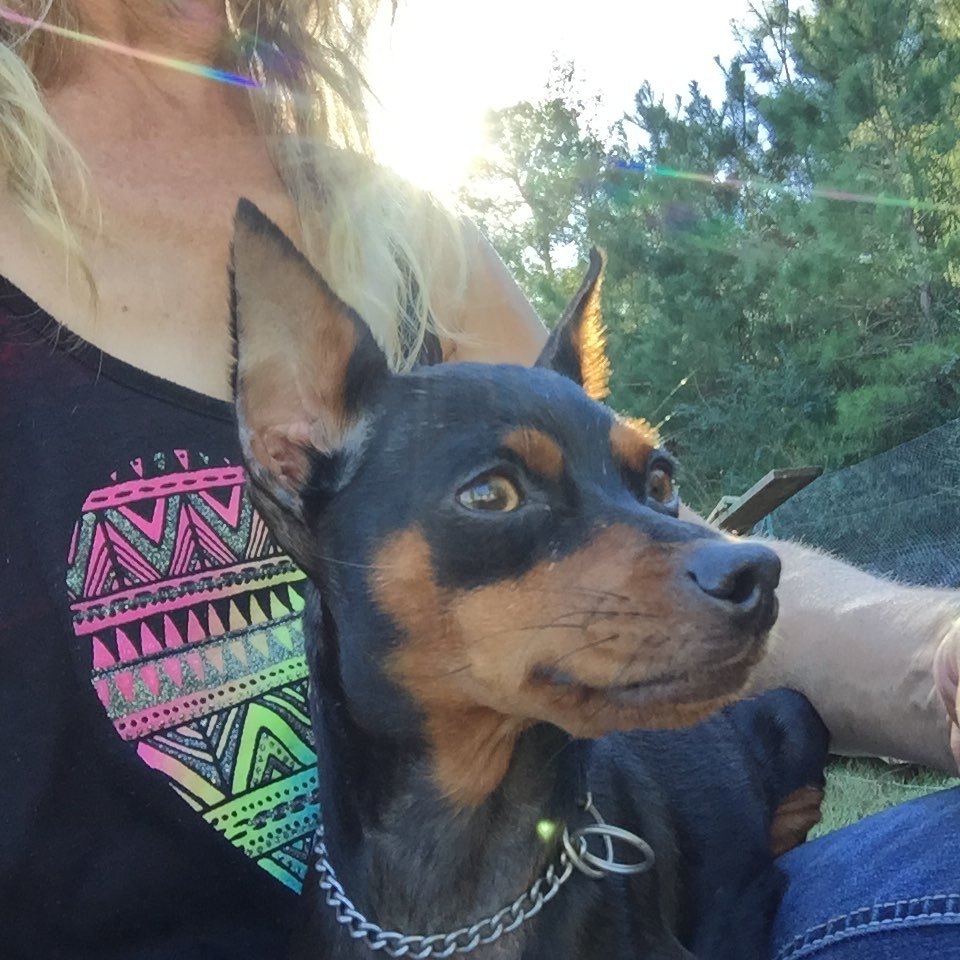 Diva
