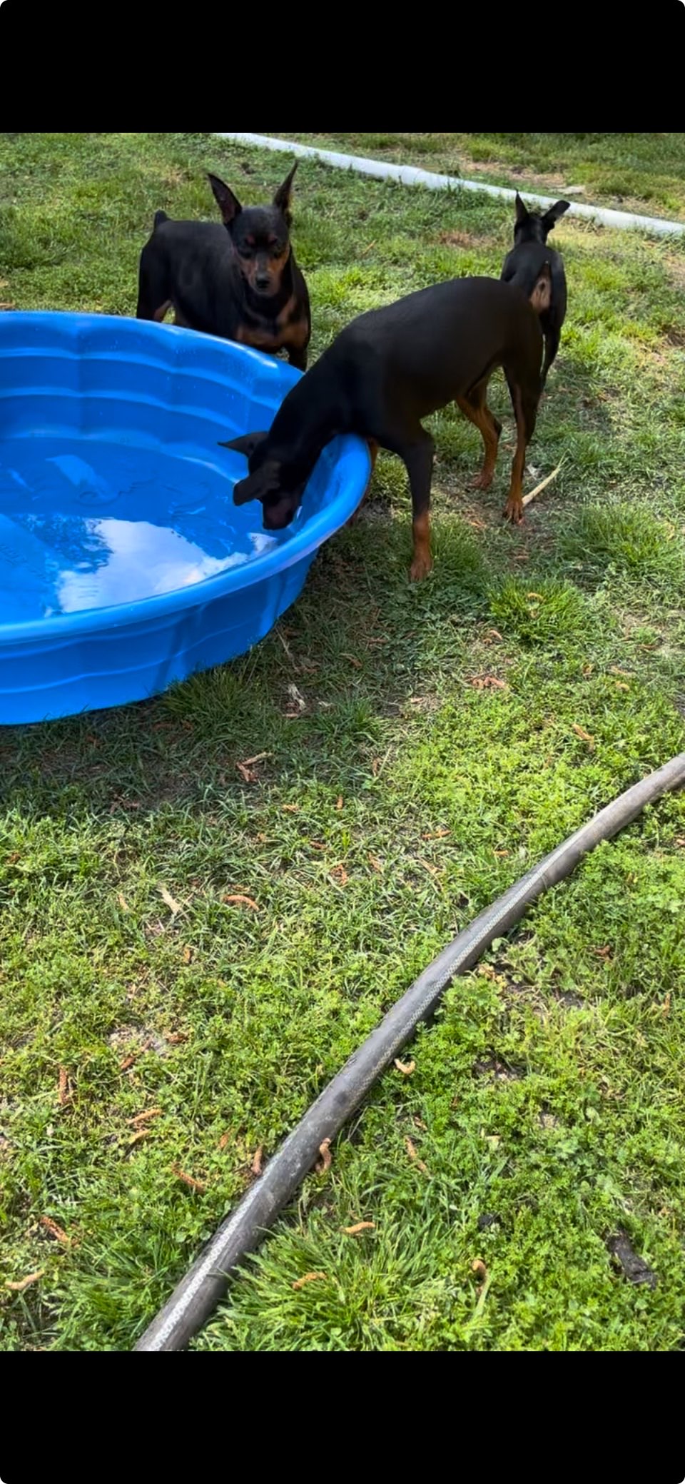 Fun in the Sun